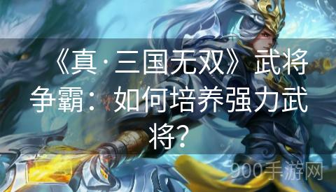 《真·三国无双》武将争霸：如何培养强力武将？