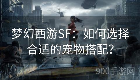 梦幻西游SF：如何选择合适的宠物搭配？