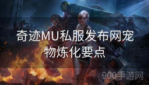 奇迹MU私服发布网宠物炼化要点